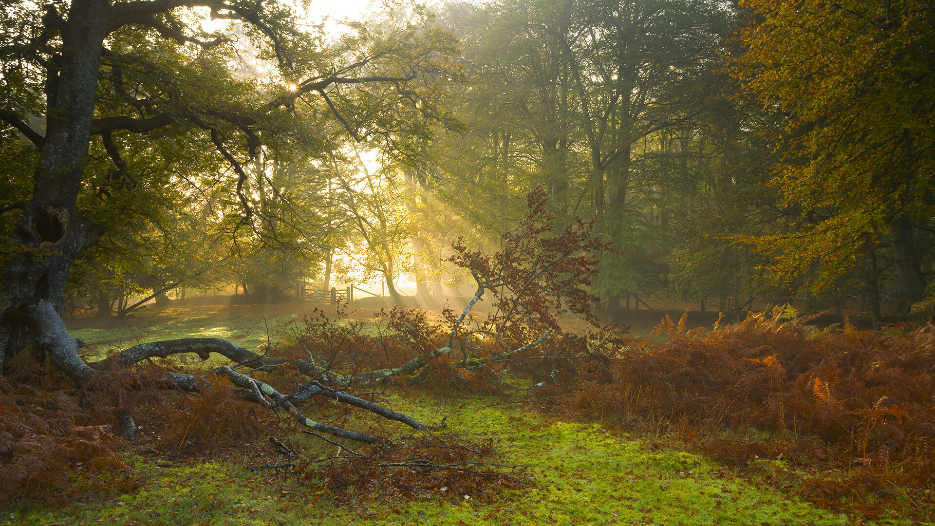 开云首页登录-AI数据分析开启青少年训练新篇章，ai数据分析开启青少年训练新篇章的方法
