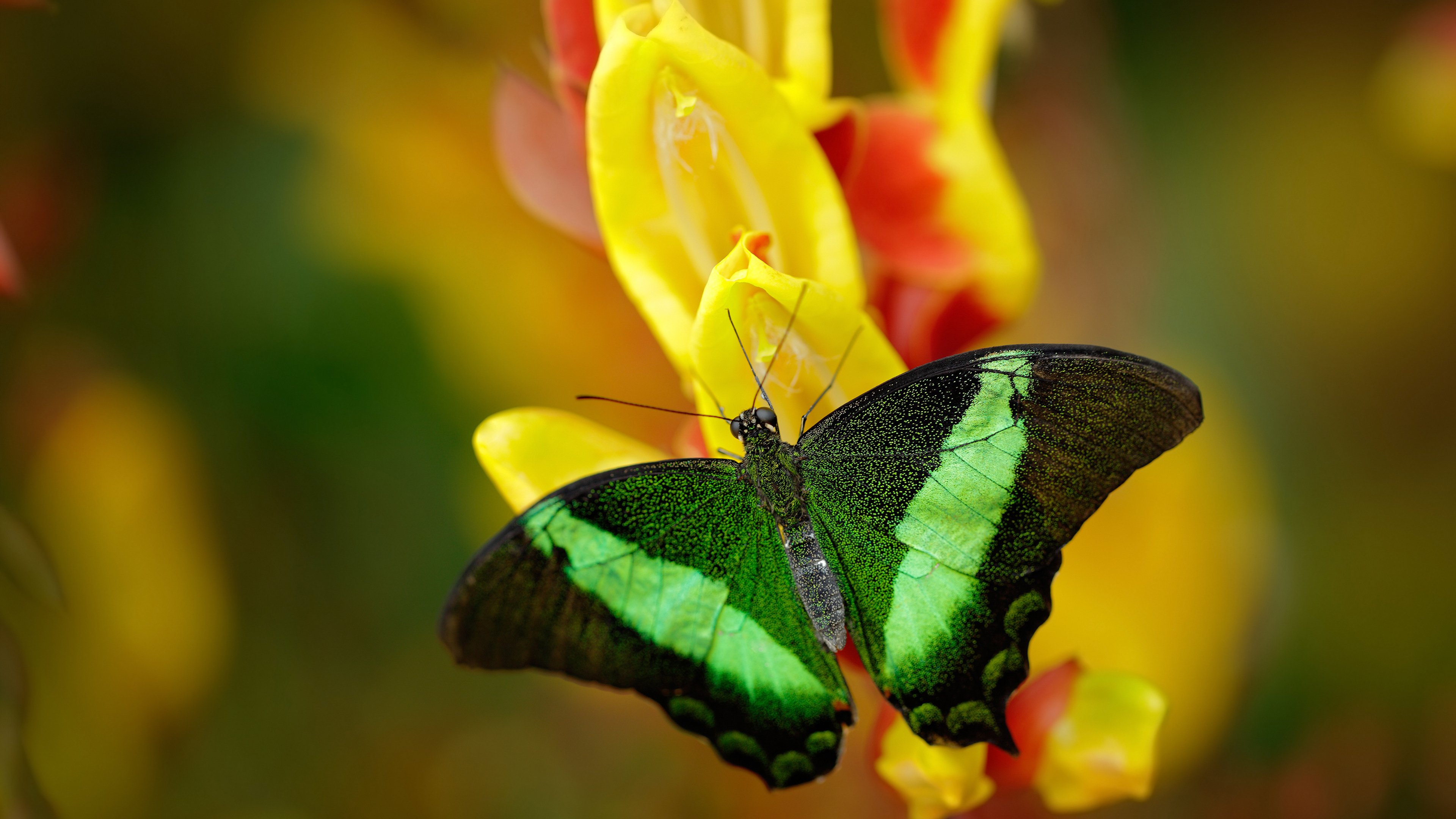 开云官网首页-2025赛季最精彩的单圈盘点