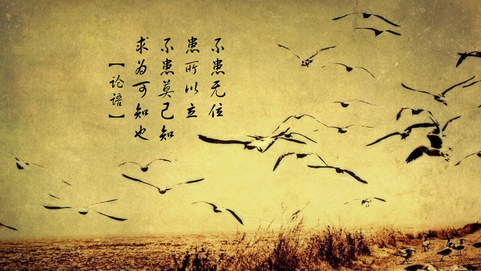 开云平台-NBA首次发布官方表情包系列，球员Q版形象受热捧，nba表情包 经典