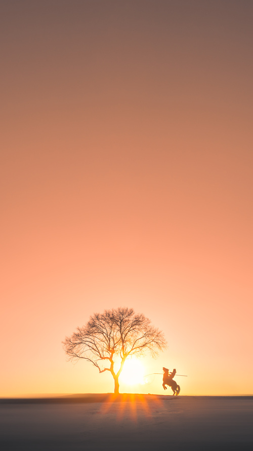 开云体育视频直播-_全球积攒人气：系列赛事点燃国际热情_，全球赛事影响力