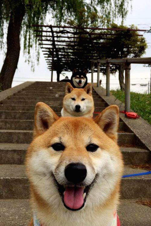 开云中国-_国际海洋运动挑战赛：浪花拍击极限_，海洋浪莎