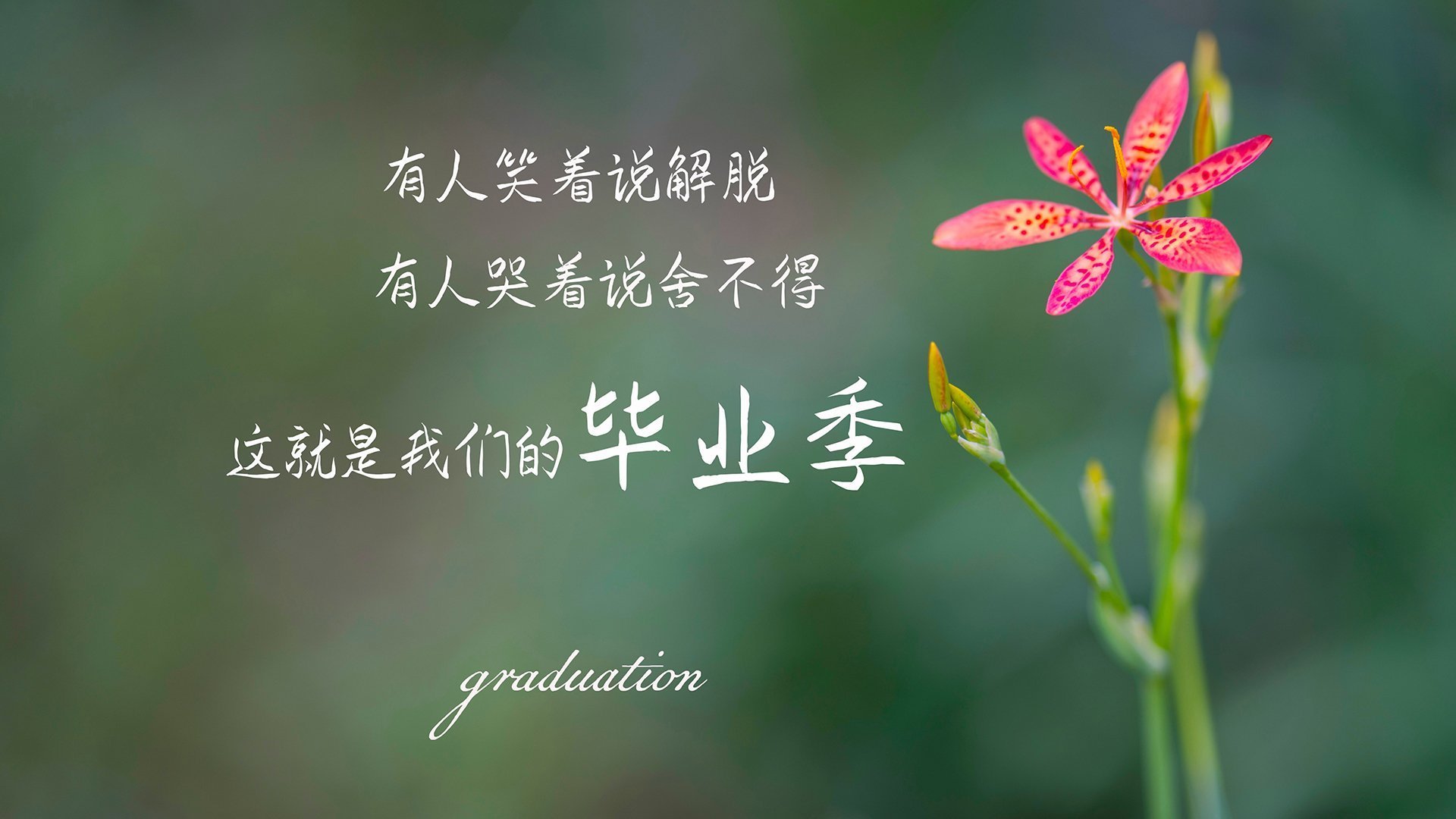 开云·体育官网-“基层足球推广项目不断深入，青少年免费培训受欢迎”，开展青少年足球培训需要什么资质