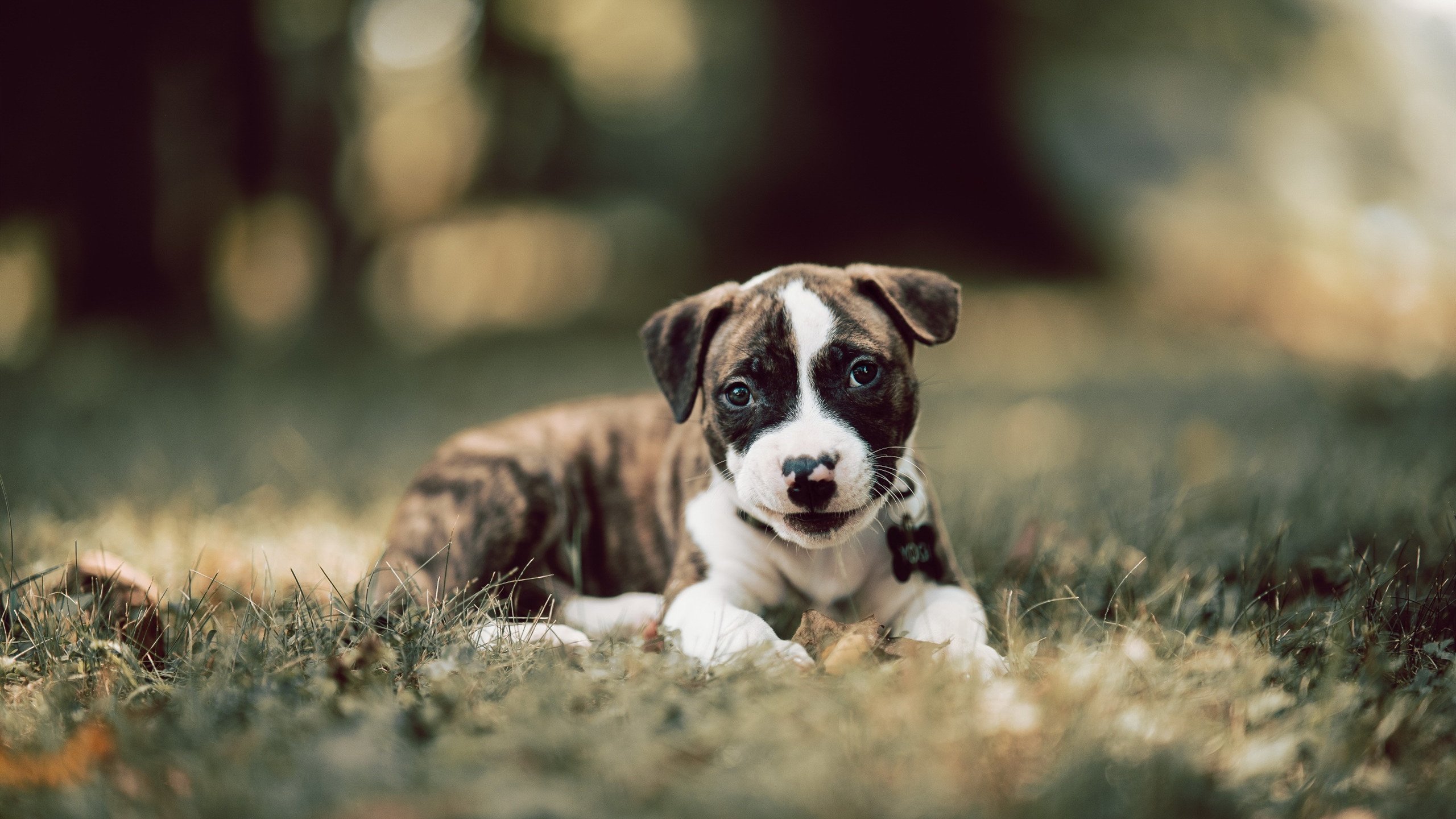 Kaiyun APP-传统武术比赛，古老技艺的新生力量，2020年传统武术比赛有哪些