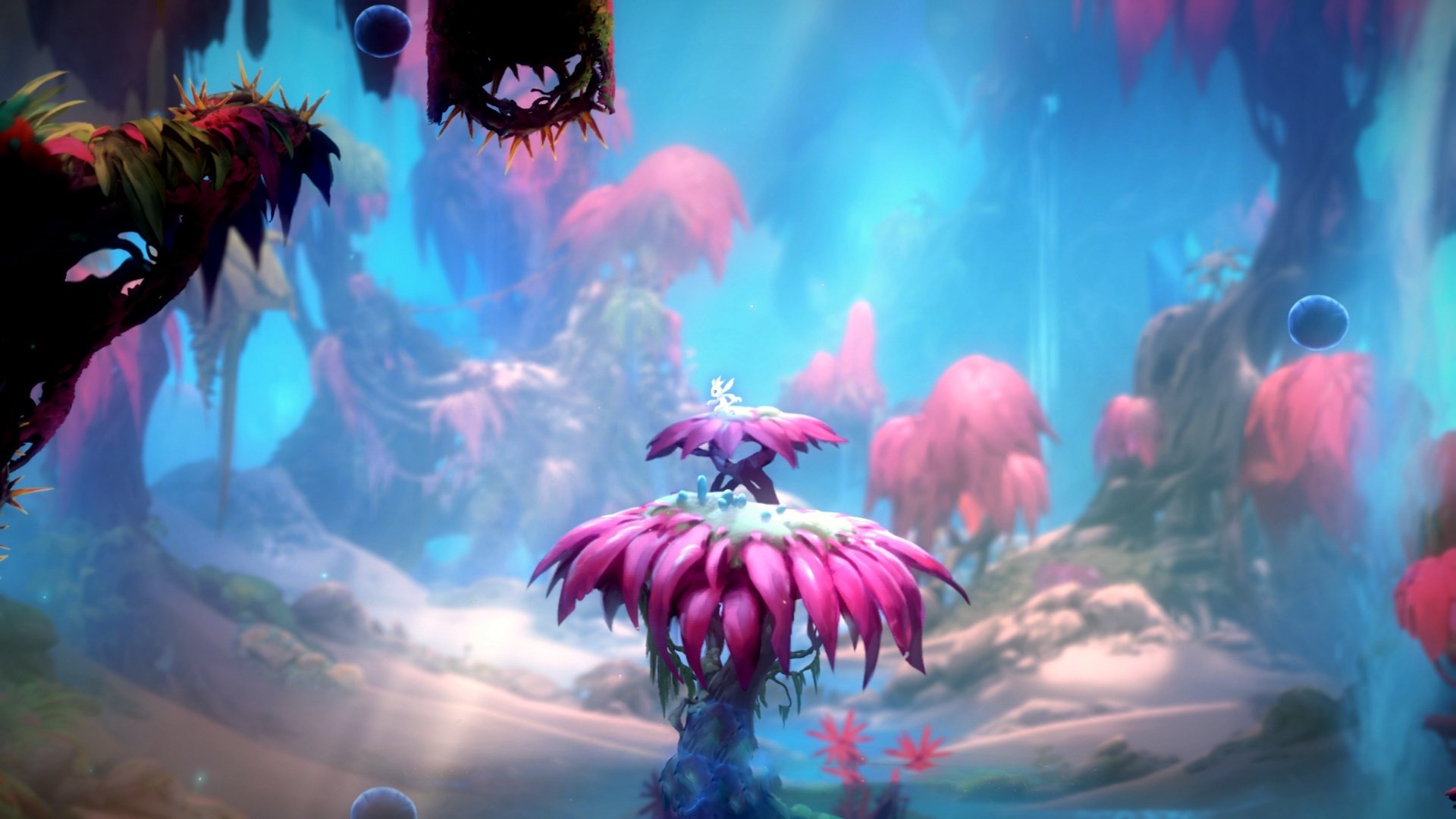 开云入口-台球运动的“新面孔”：青年运动员崭露头角，台球选手年轻