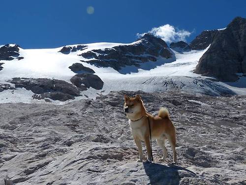 kaiyun网站-炉石传说“策略巅峰”全国总决赛即将点燃战火，炉石传说总决赛视频
