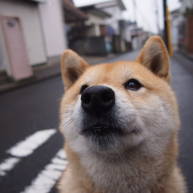 KAIYUN 中国大陆-绿色节能：F1的环保行动计划，绿色环保节能产品