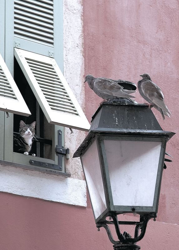 kaiyun官方入口登录-青训行业“标准+规范”体系持续优化，“行业白皮书”正式发布，青训制度