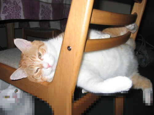 开云在线直播-高效训练：核心肌群和新科技结合的训练新趋势，核心肌群训练视频