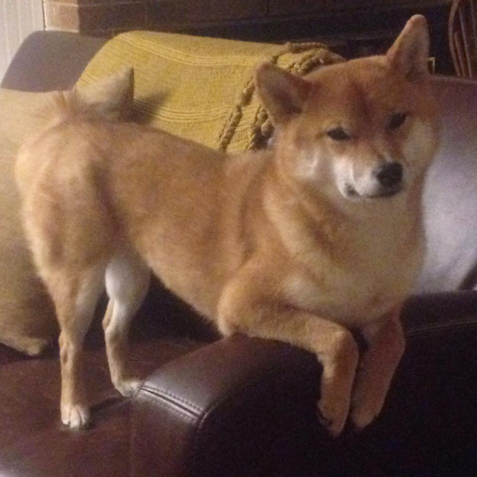 Gen.G粉丝活动热烈进行中,粉丝活动中心官网