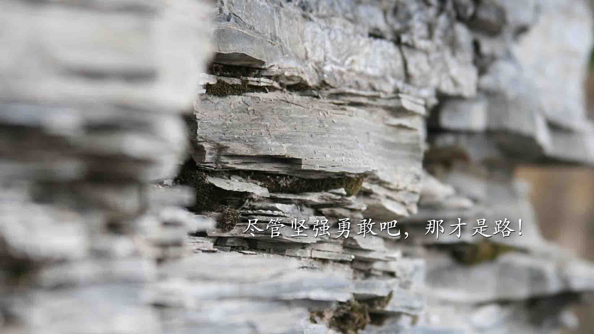 开云官网登录-比利亚雷亚尔豪取六连胜，继续领跑，比利亚雷亚尔阵型