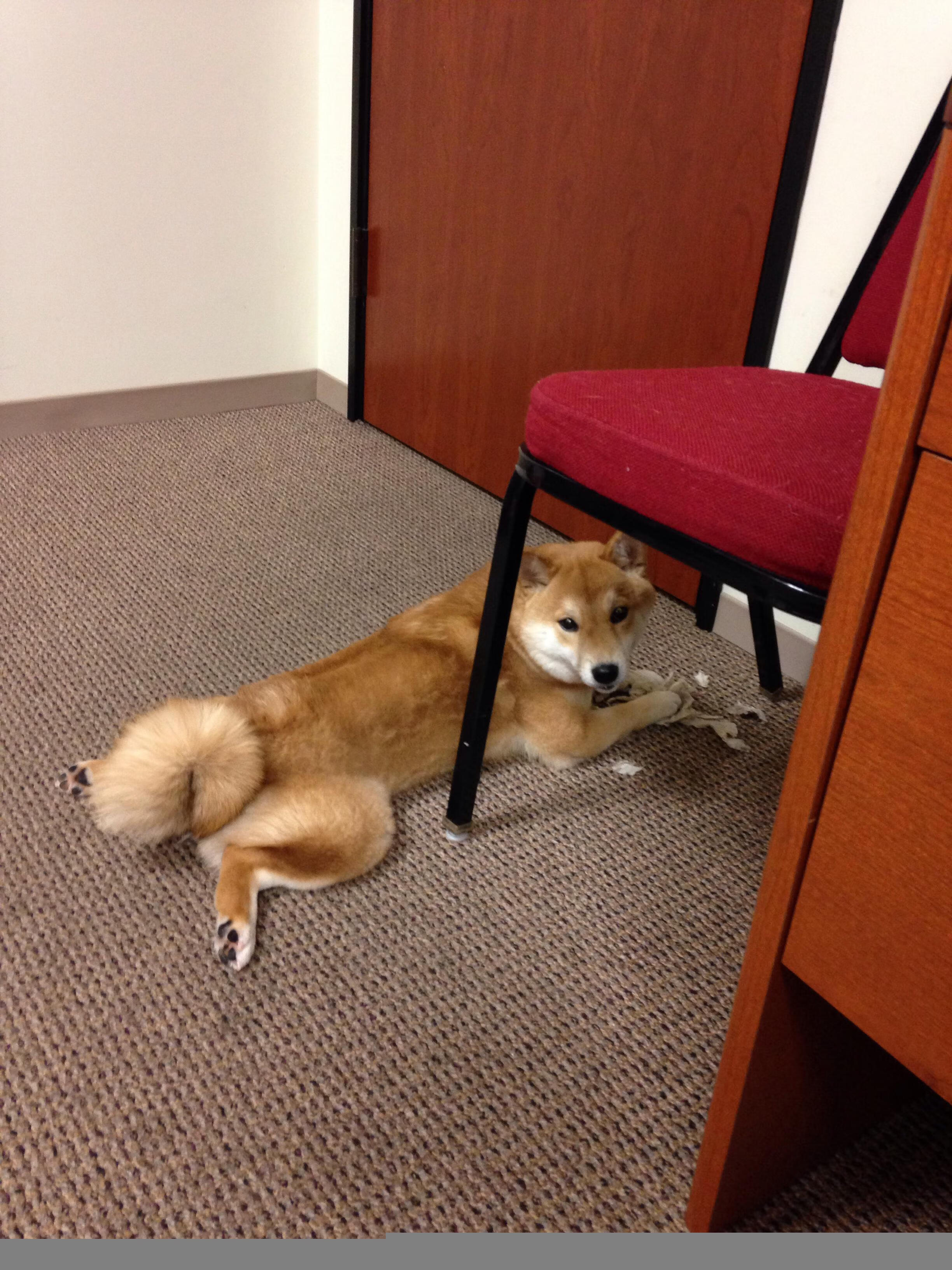 kaiyun网站-后腰球员断球能力是否决定比赛转折点分布，后腰接球摆脱集锦