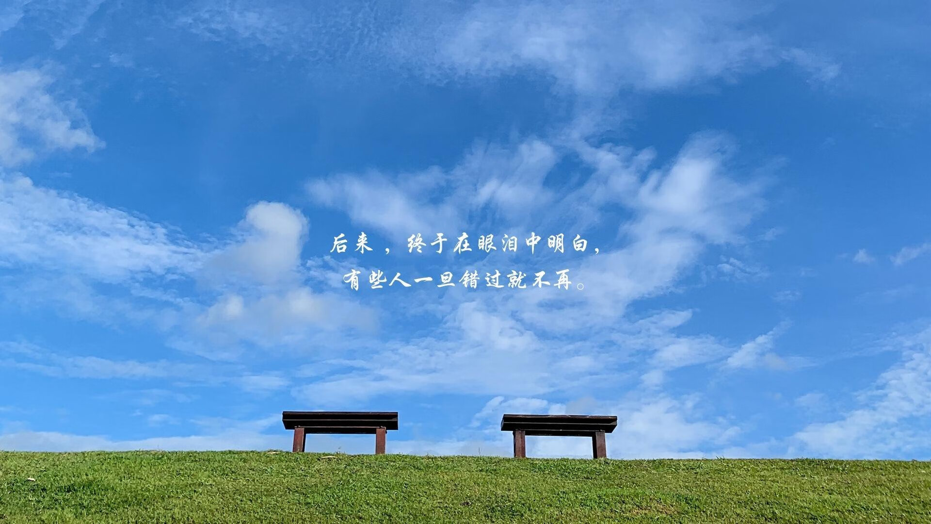 开云官网-波兰队赛制解读：团体赛中的灵活应对与战术创新，波兰队阵型