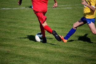 开云全站-中小学篮球教研活动不断创新教学方法提升训练效果，篮球教研活动总结