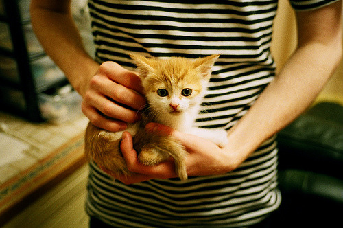 开云下载-中国队稳定发挥成夺冠关键因素，中国队成就